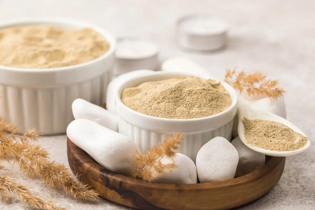 The Power of Brewers’ Yeast in Pet Nutrition