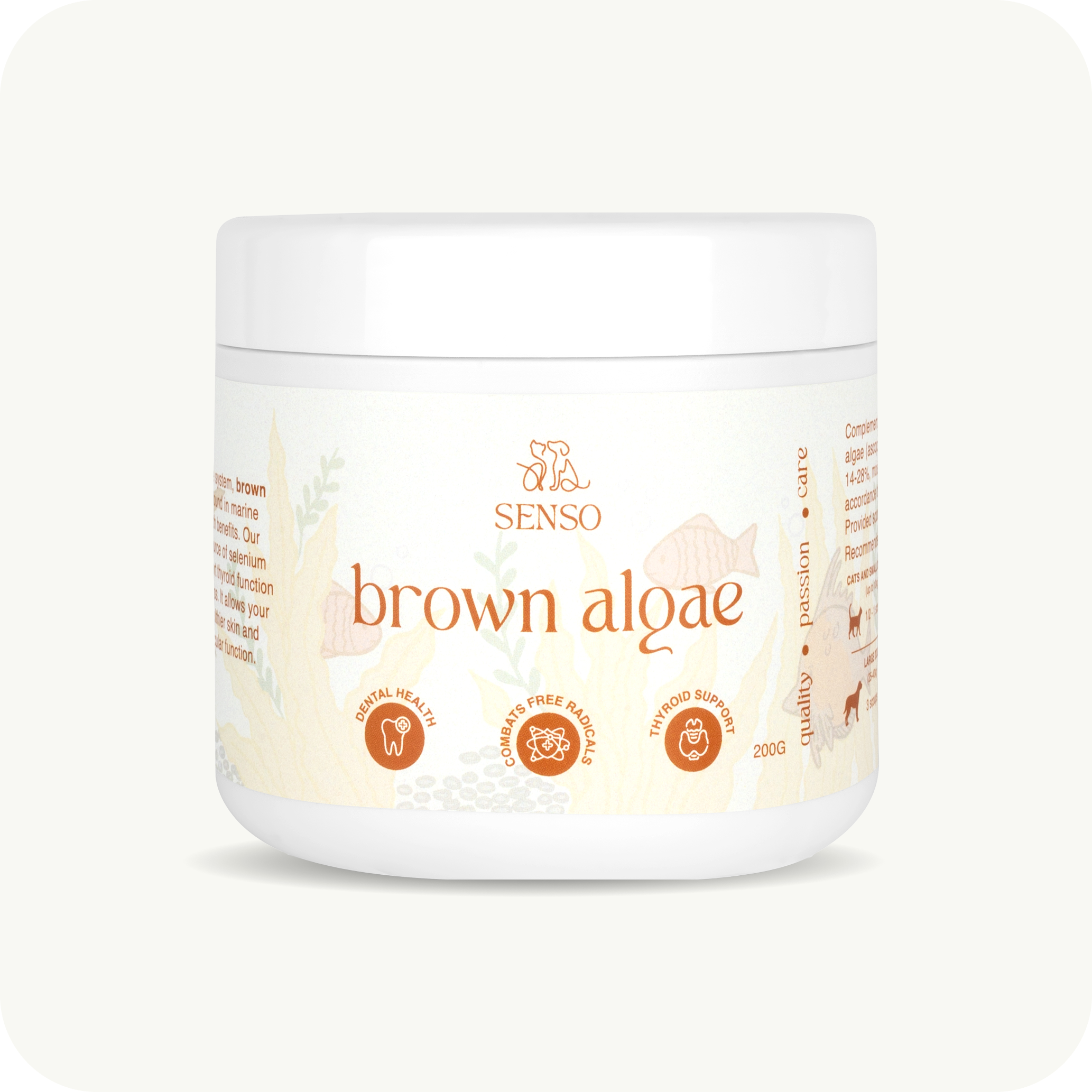 Brown Algae