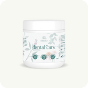 Dental Care