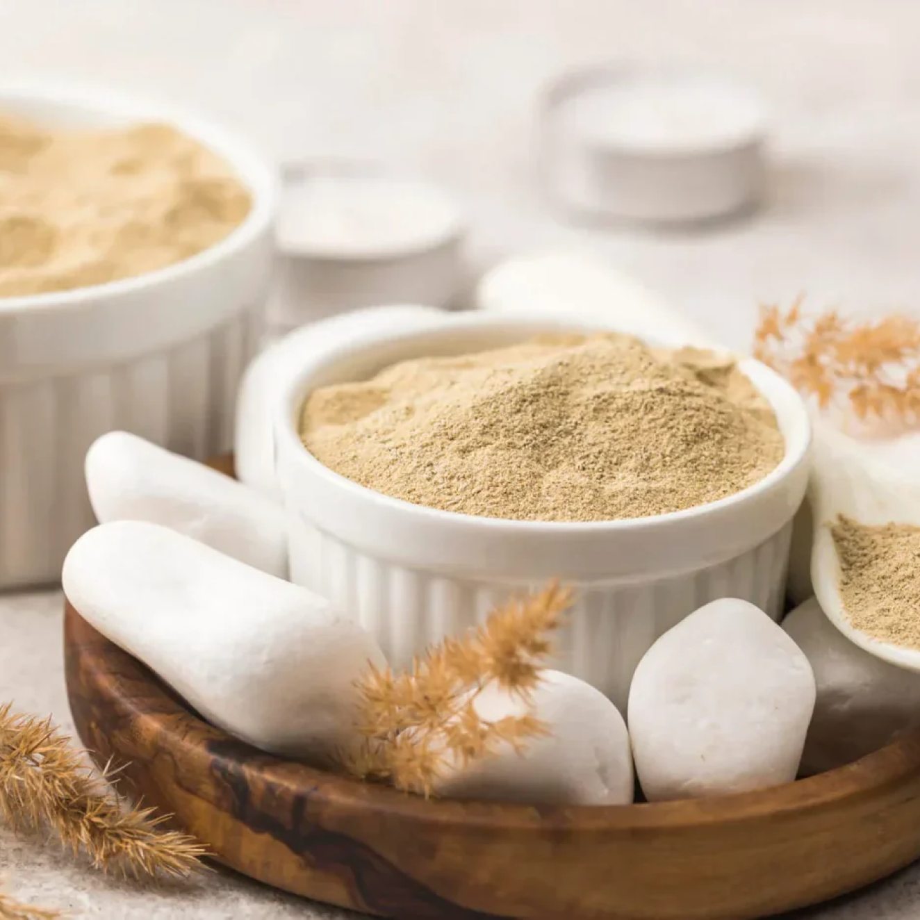 The-Power-of-Brewers-Yeast-in-Pet-Nutrition Senso Pet