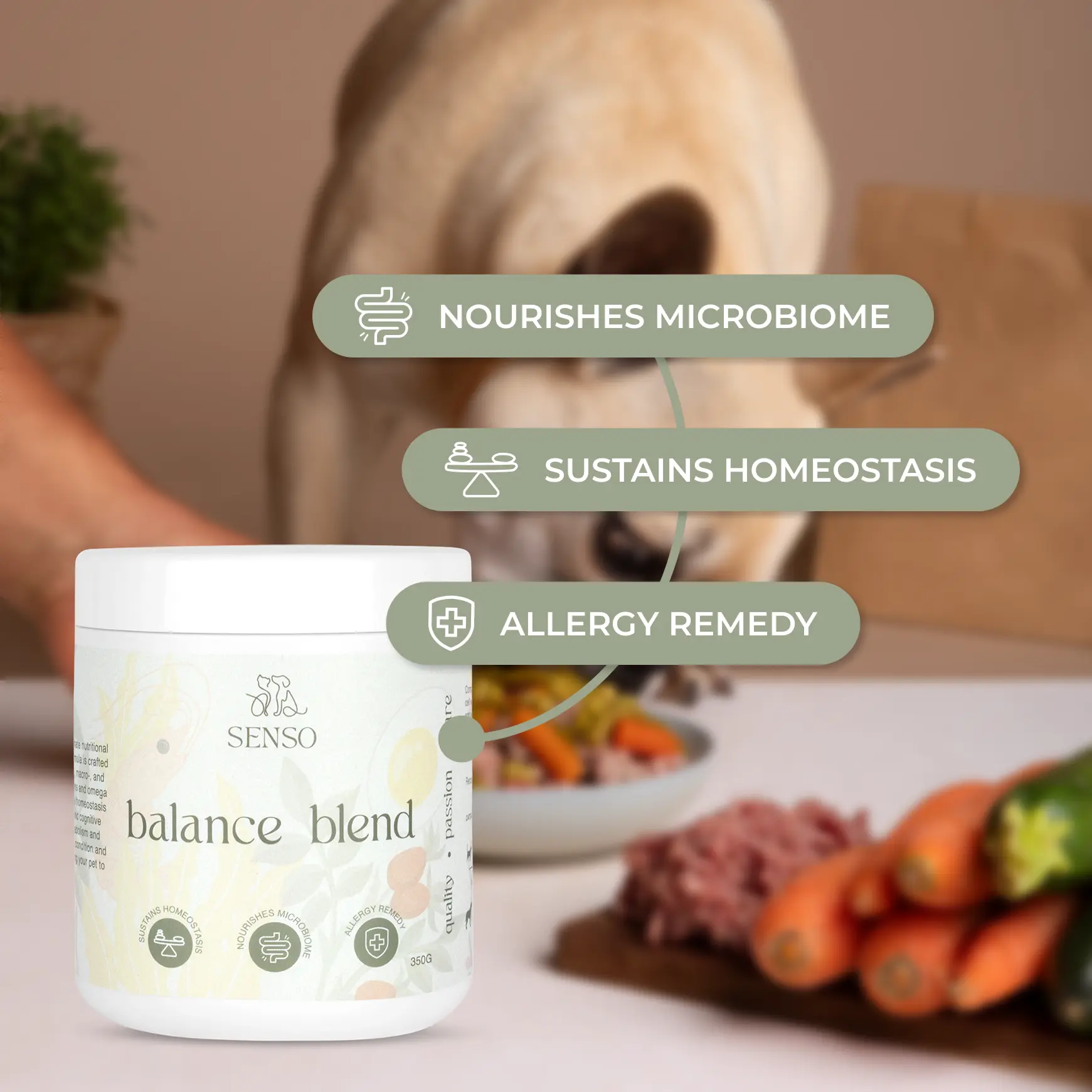 Balance Blend sensopet.co.uk