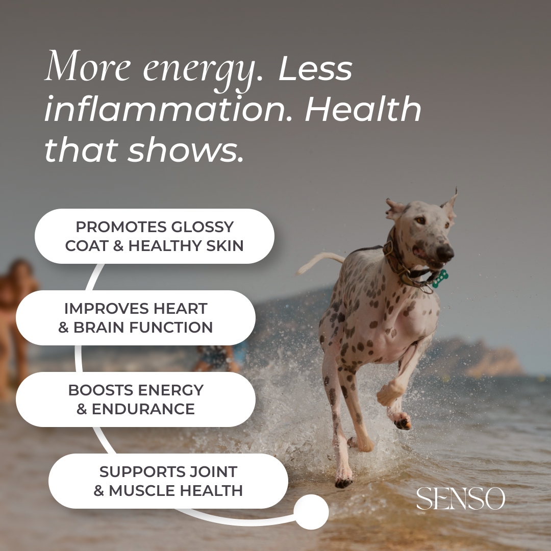 Antarctic Krill Meal sensopet.co.uk