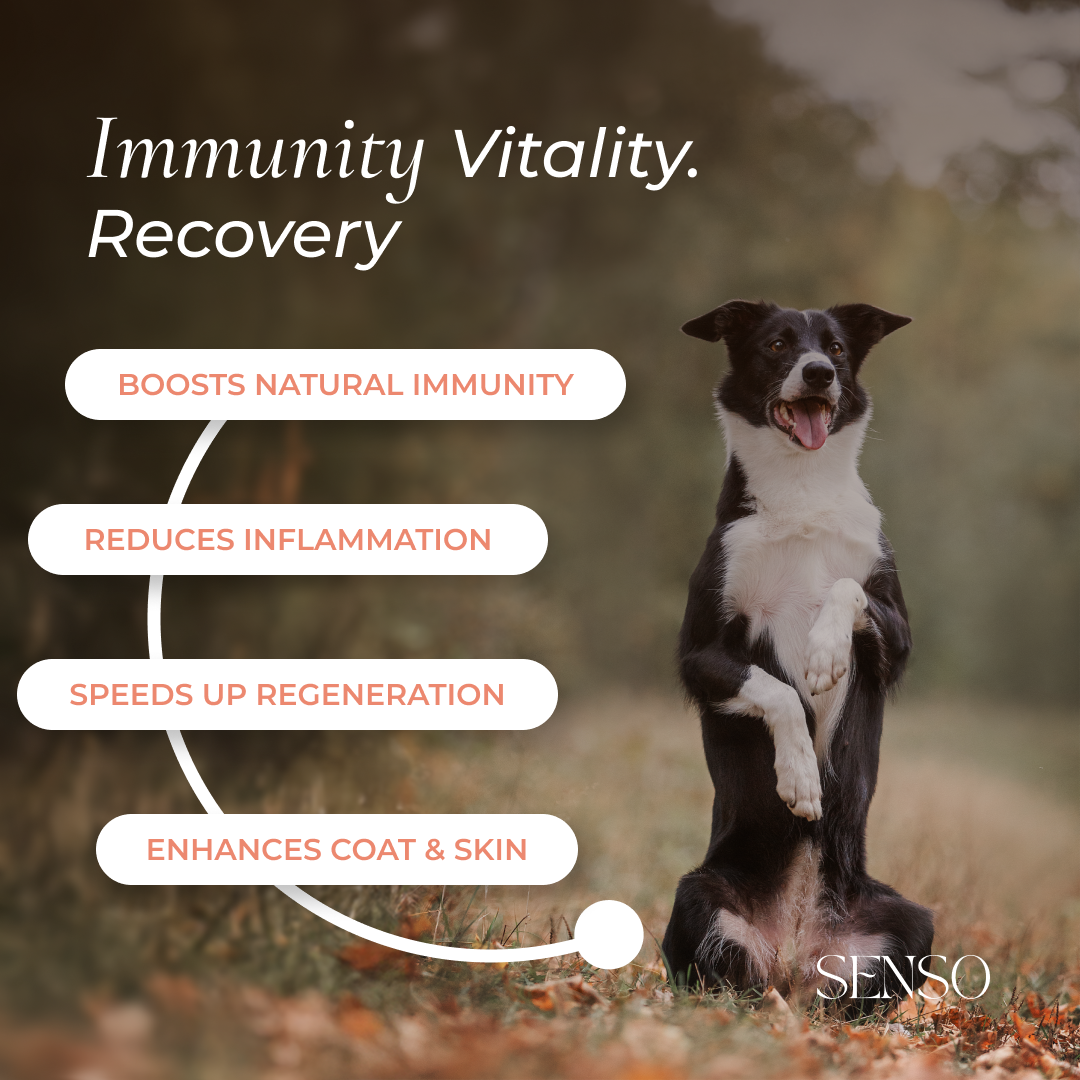 Rose Hip sensopet.co.uk