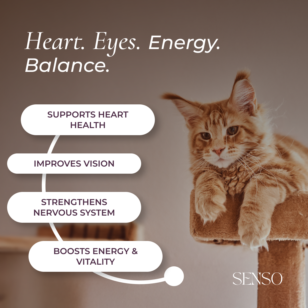 Taurine sensopet.co.uk